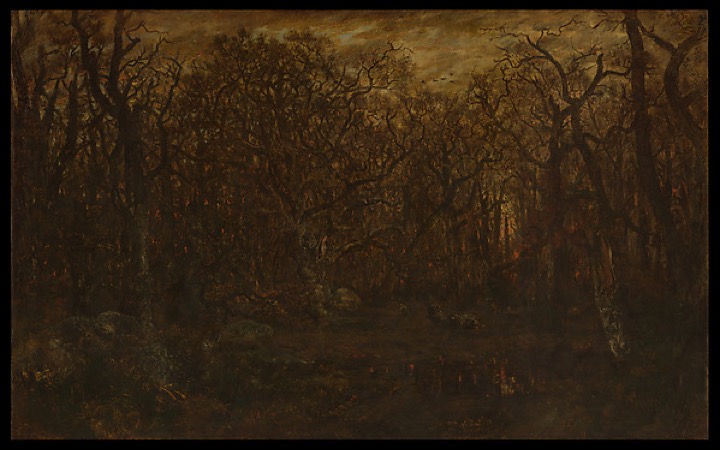 The Forest in Winter at Sunset